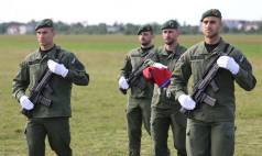 Borovo Selo10
